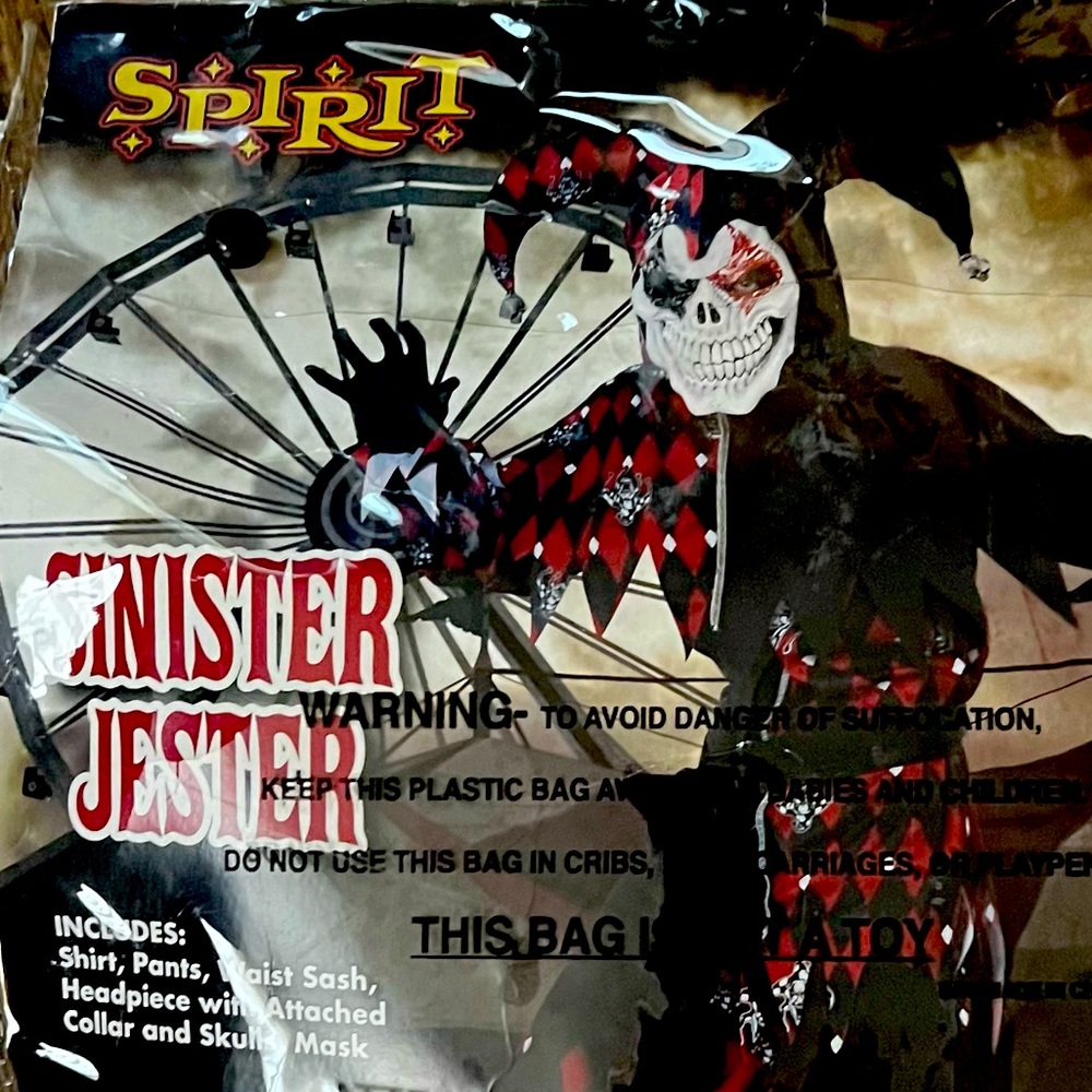 Spirit Halloween “Sinister Jester” Halloween Costume